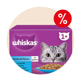 Alimenta&ccedil;&atilde;o para Gato