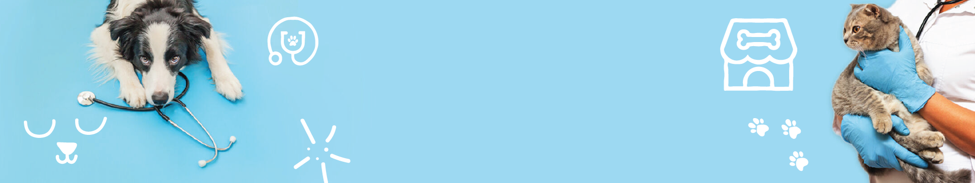 A ZU tem ao dispor todos os cuidados de sa&uacute;de e uma equipa de veterin&aacute;rios experientes para garantir os melhores cuidados de cada animal.