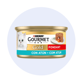 Comida H&uacute;mida