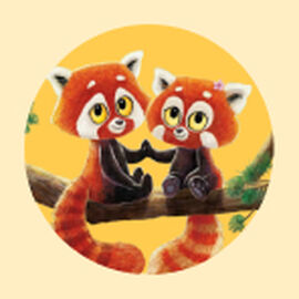 Cole&ccedil;&atilde;o de livros da autora Rachel Bright