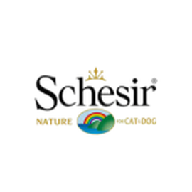 Schesir