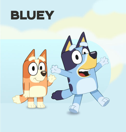 Bluey Bluey