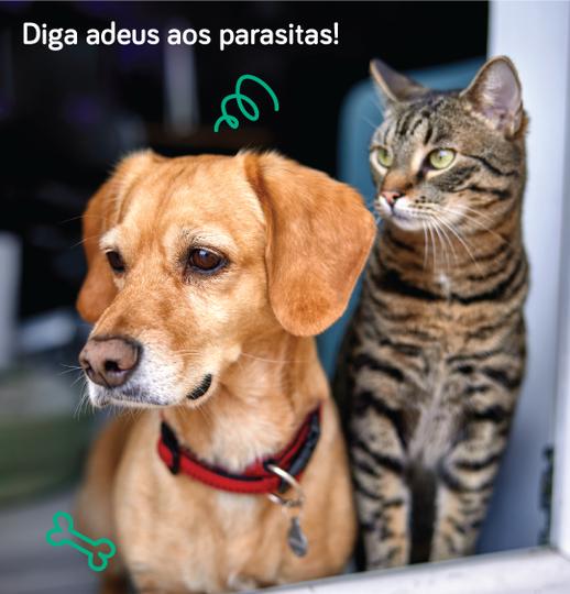 Diga Adeus aos parasitas!