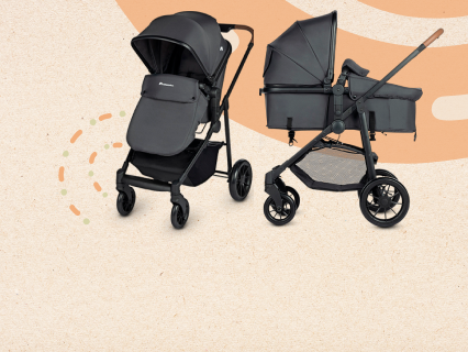 Carrinhos de passeio 