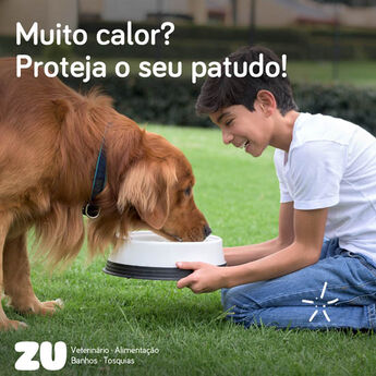 Proteja o seu patudo no ver&atilde;o