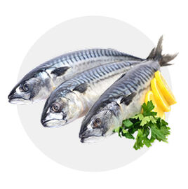 Peixaria