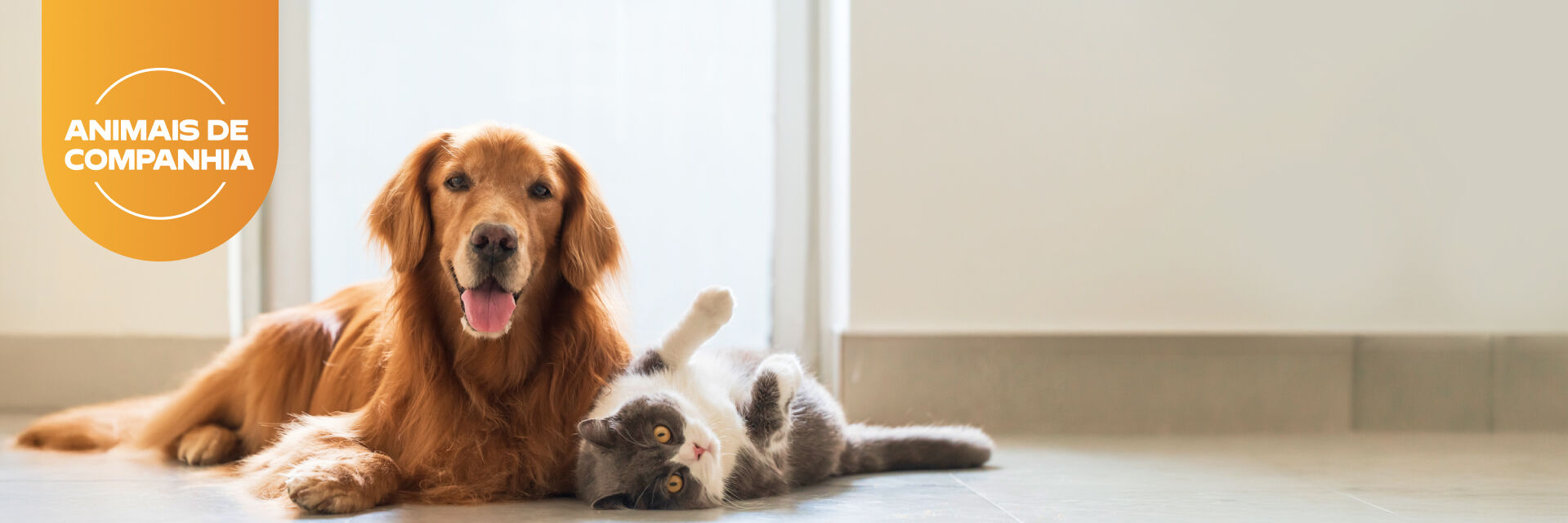 Animais de Companhia: Pre&ccedil;os de melhor amigo at&eacute; 19 de abril
