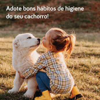 Adote bons h&aacute;bitos de higiene do seu cachorro!