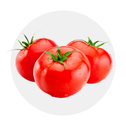 Alface, Tomate, Pepino e Pimento