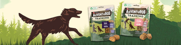 Snacks de Treino
