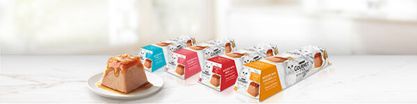 Purina Gourmet Revelations