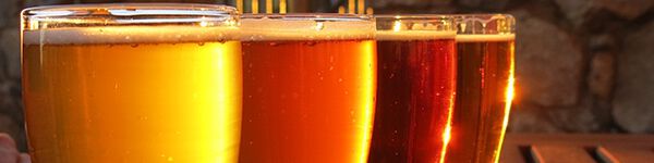 Cerveja Estrangeira e Artesanal