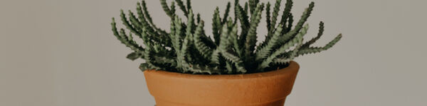 Plantas Artificiais Com Vaso