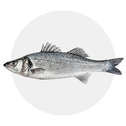 Robalo