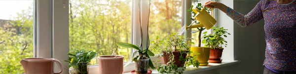 Plantas Naturais