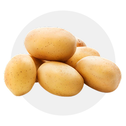 Batata, Batata Doce e Mandioca