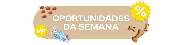 Campanhas