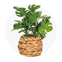 Plantas Artificiais