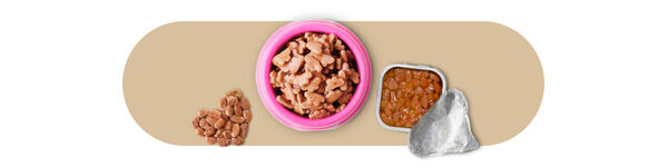 Comida Húmida