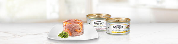 Purina Gourmet Diamant