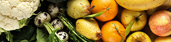 Frutas e Legumes Biológicos