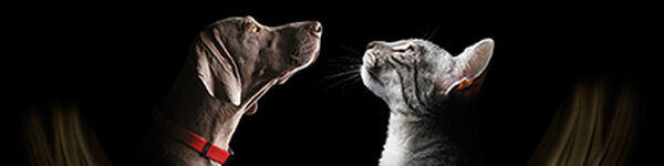 Pro Plan Veterinary Diets