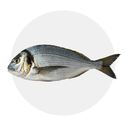 Dourada