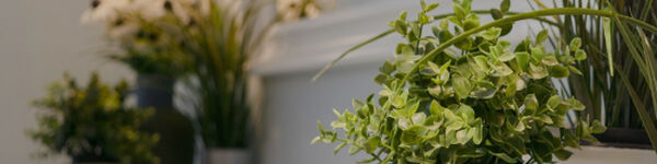 Plantas Artificiais