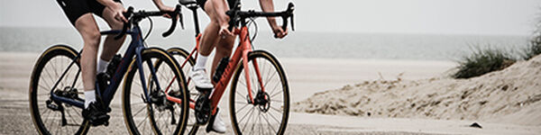 Bicicletas de Adulto