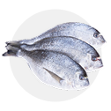 Peixe Fresco