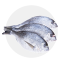 Peixe Fresco