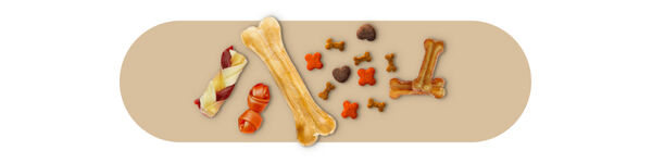 Snacks e Biscoitos