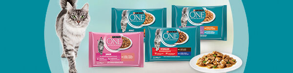 Comida Húmida para Gato 