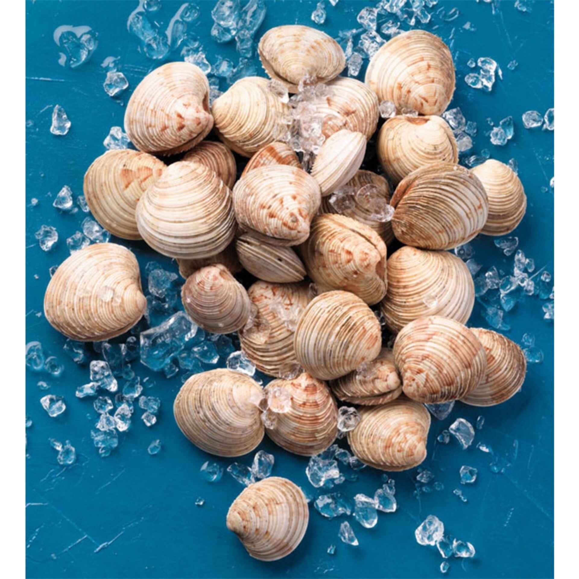 p-de-burrico-fresco-quant-m-nima-1-kg-aprox-continente-online