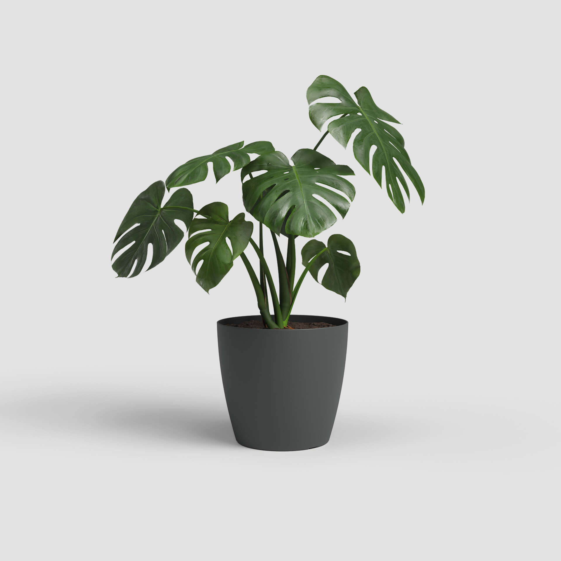 6 Vasi Intelligenti Con Vassoio Rotondo Clever Pots - Grigio Antracite Per Vaso 20cm