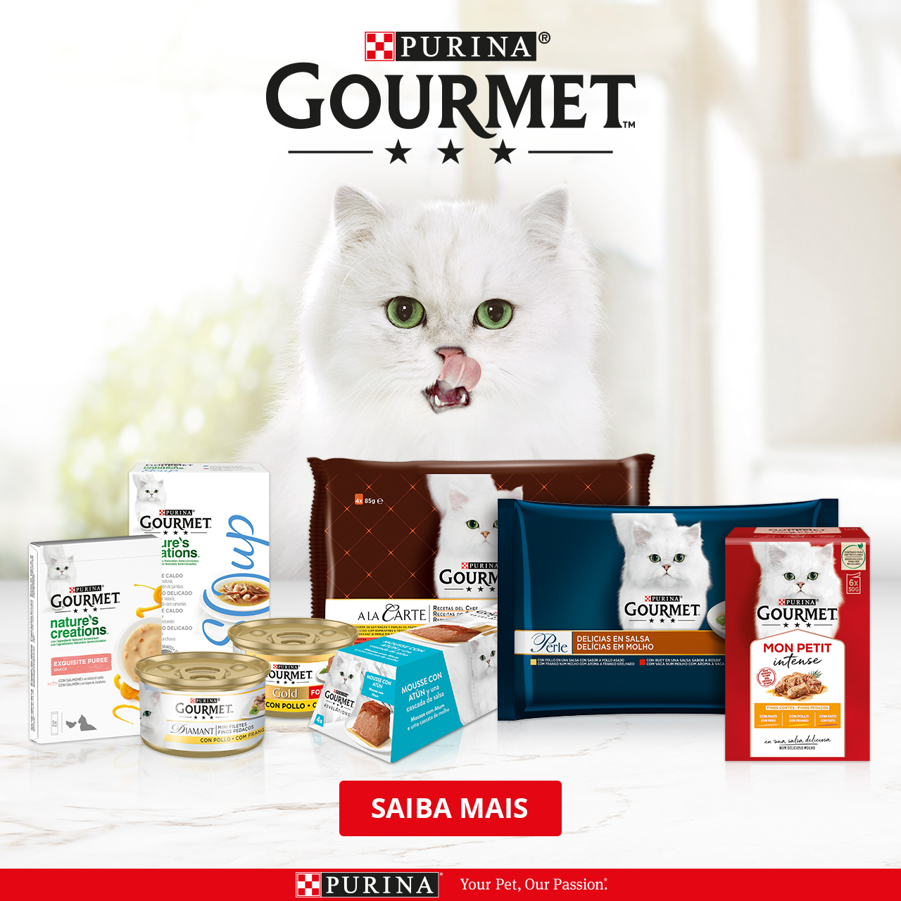 Purina Gourmet
