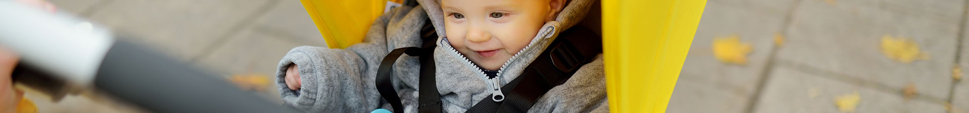 Conjunto e Carrinhos de Passeio