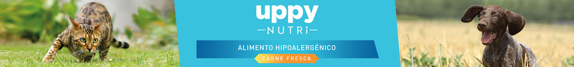 Uppy Nutri Gato