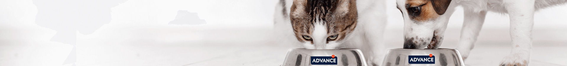 Advance Veterinary Diets
