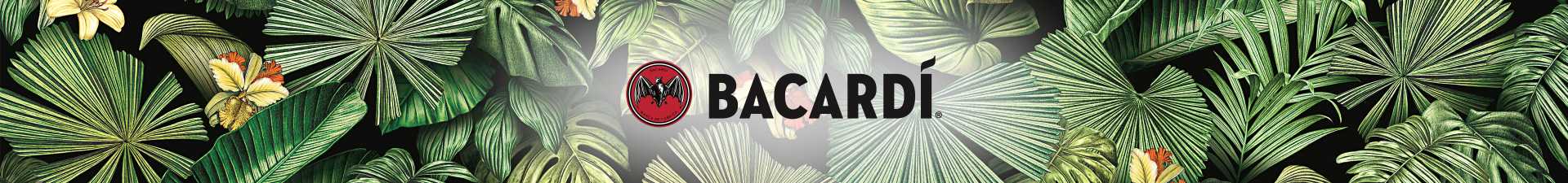 Bacardi-Martini Bacardi