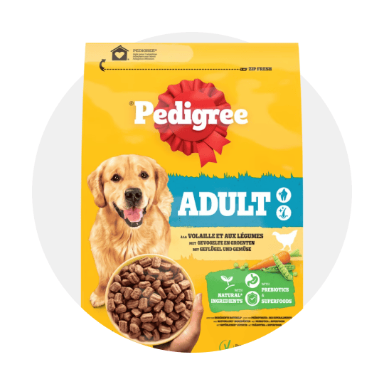 Animais
