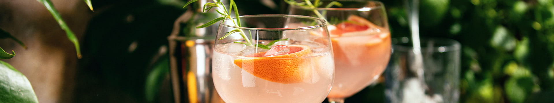 Cocktail de Verão
