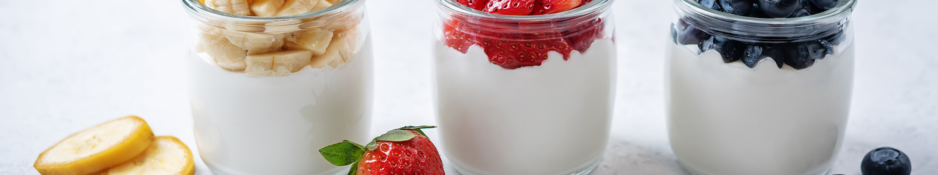 Laticínios e Alternativas Vegetais Saudáveis