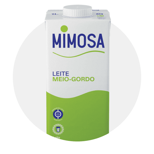 Latic&iacute;nios e Ovos