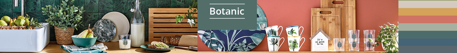 Coleção Botanic