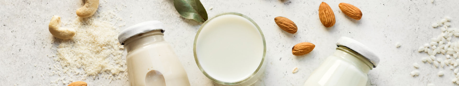 Bebidas Vegetais