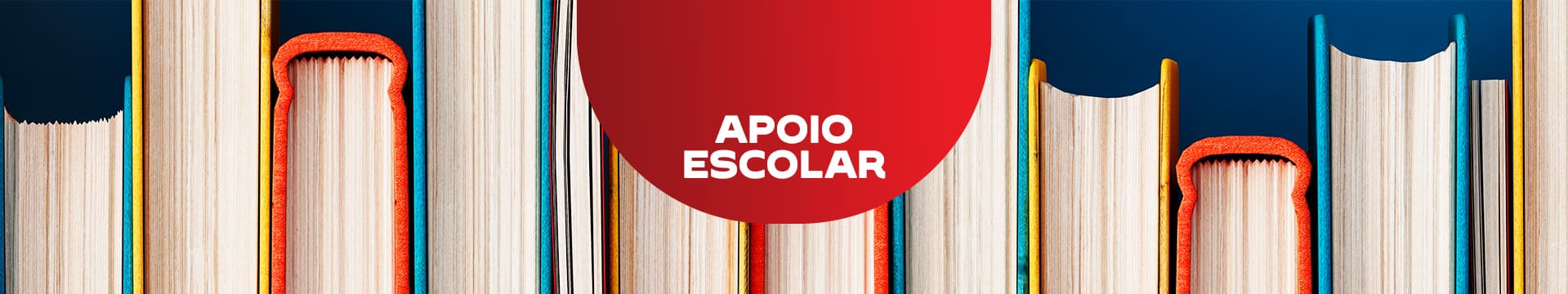 Livros Apoio Escolar